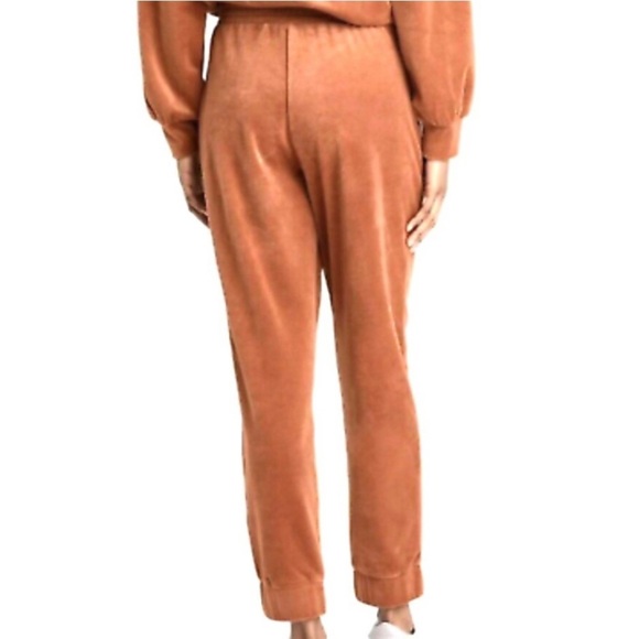 WILD FABLE High-Rise Velour
Jogger, Rust - Picture 3 of 4